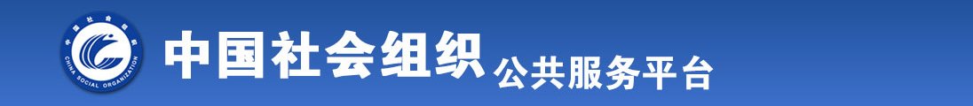 小舞黑丝啪啪漫画全国社会组织信息查询